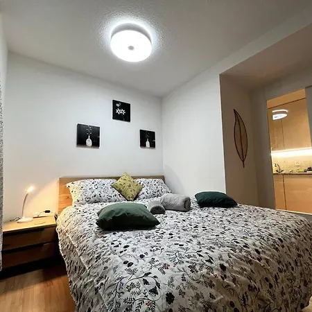 Modern 2br For Up To 6 Wef Exclusive Platz & Promenad Νταβός