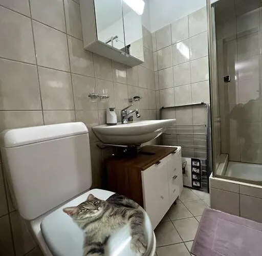 Lejlighed Modern 2br For Up To 6 Wef Exclusive Platz & Promenad *