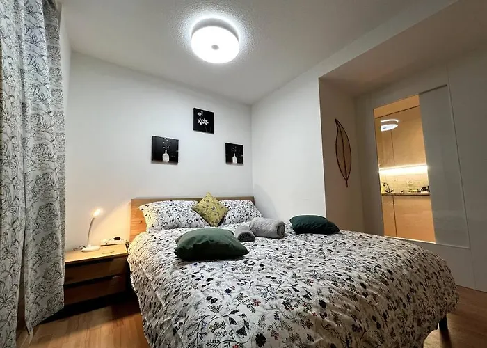 Modern 2br For Up To 6 Wef Exclusive Platz & Promenad Davos